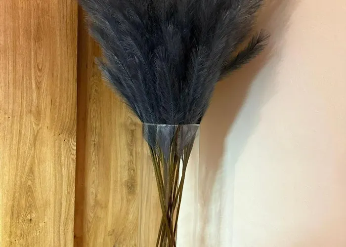 Soul & Summit - Bergblick, & Skilift Nah 公寓 陶普利茨